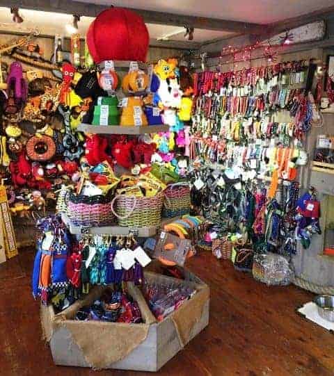 Inside of Two Salty Dogs Pet Outfitters