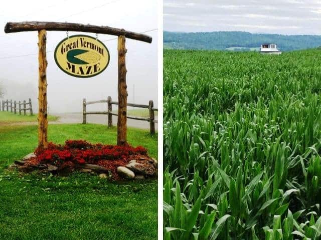 Great Vermont Corn Maze