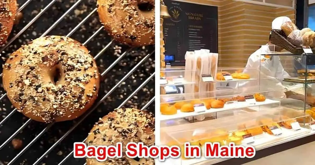 Bagel Shops in Maine