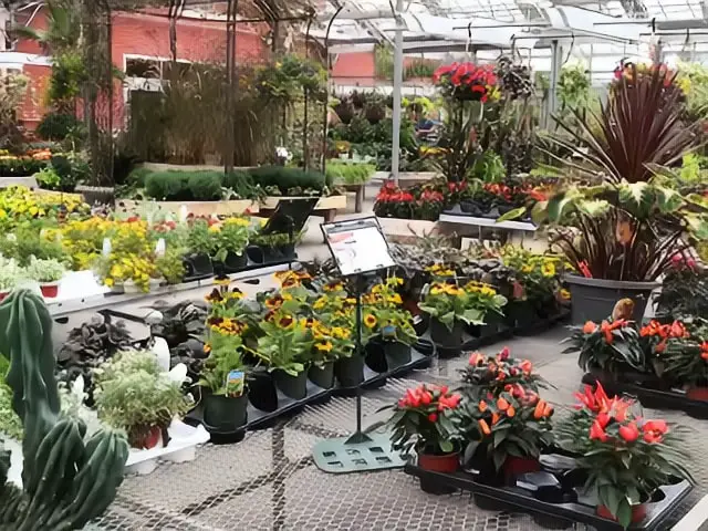 Briggs Nursery