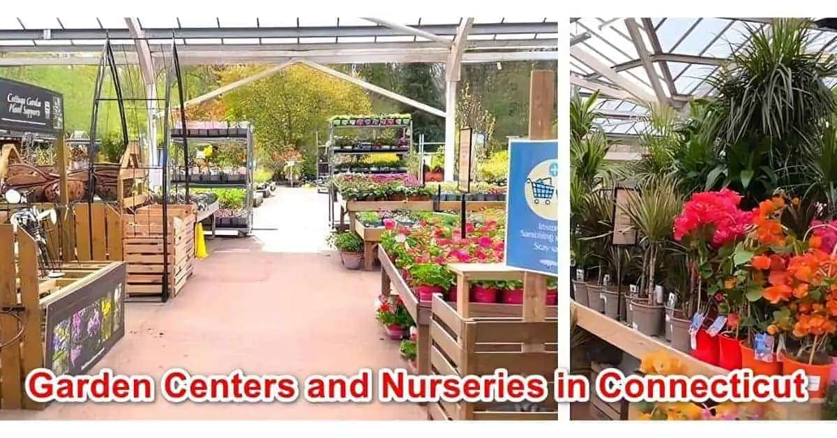 Garden Centers and Nurseries in Connecticut