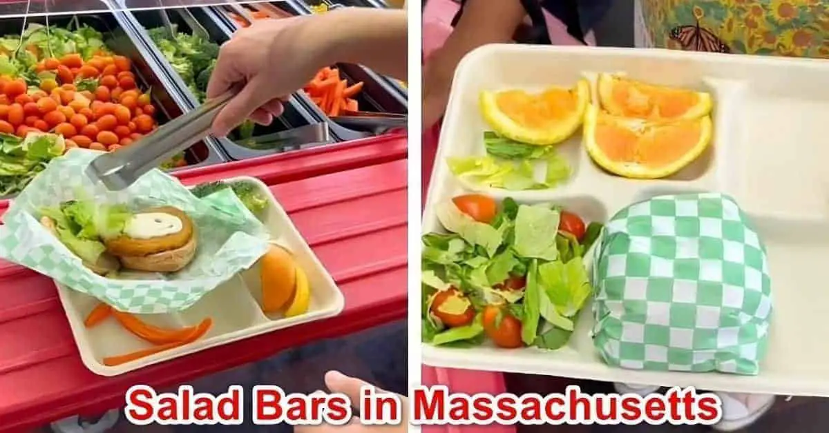 Salad Bars in Massachusetts