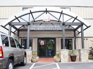 17 Best Animal Shelters In Massachusetts 2026