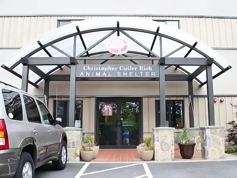 Cape Ann Animal Aid