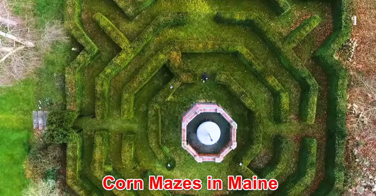 Corn Mazes in Maine