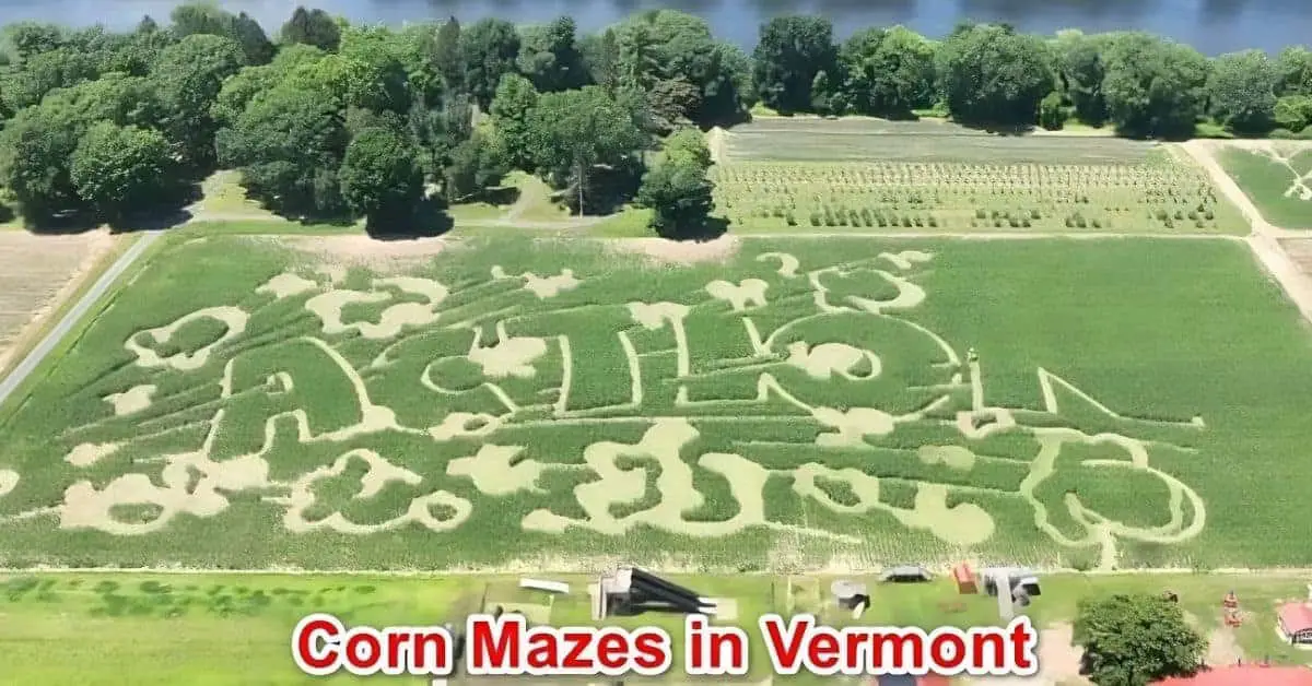 Corn Mazes in Vermont