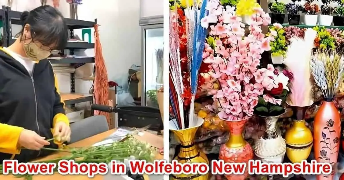 Flower Shops in Wolfeboro New Hampshire