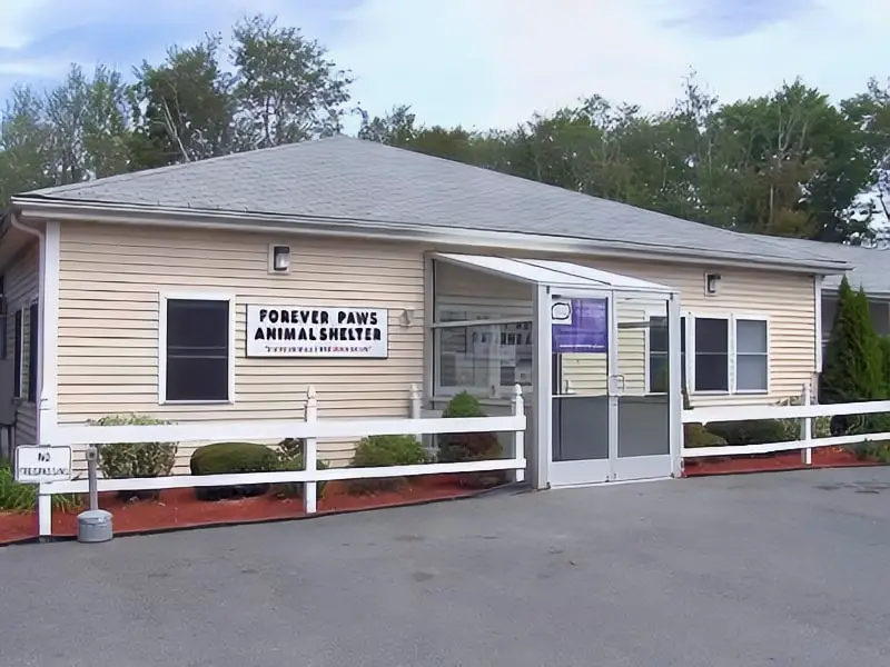 Forever Paws Animal Shelter