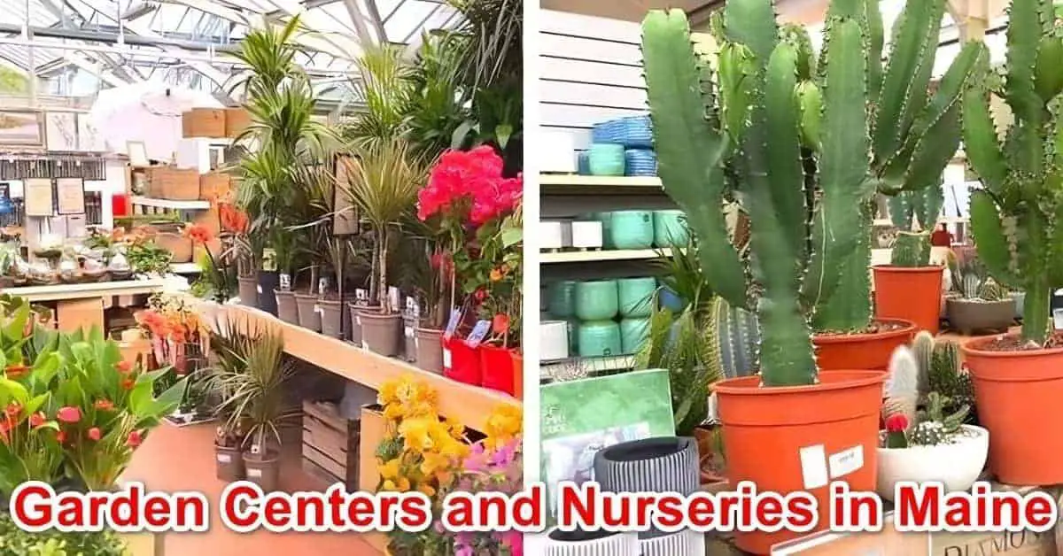 Garden Centers and Nurseries in Maine
