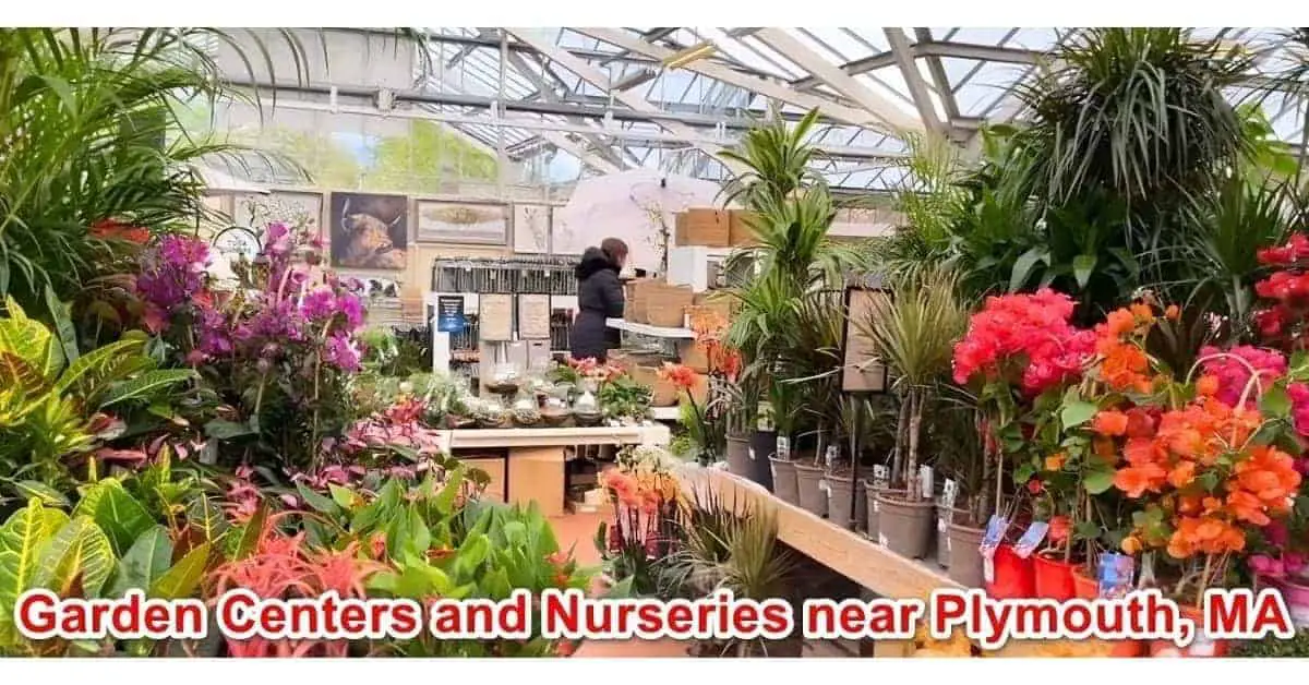 Garden Centers and Nurseries near Plymouth, MA