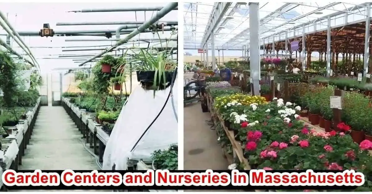 Garden Centres and Nurseries in Massachusetts