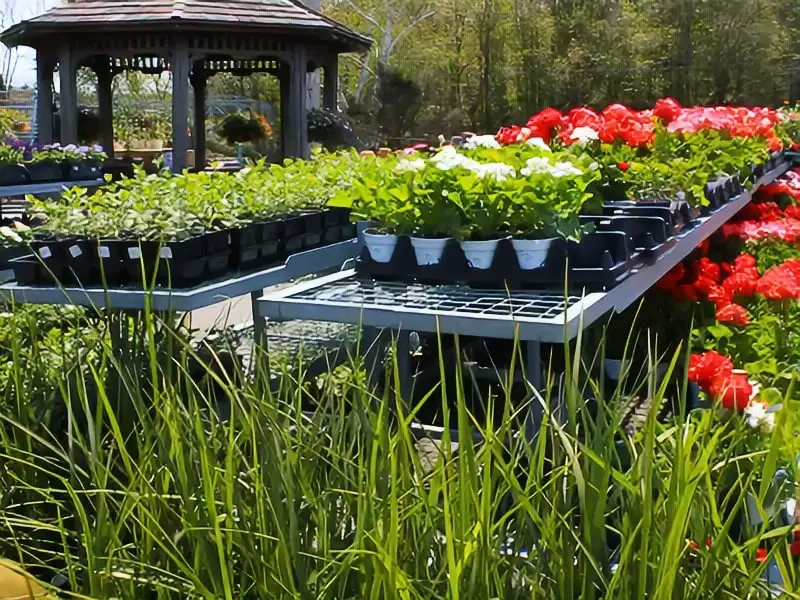 Northeast Nursery Garden Center Peabody MA