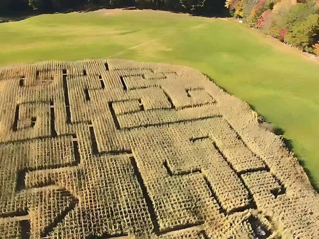 Pineland Farms Corn Maze