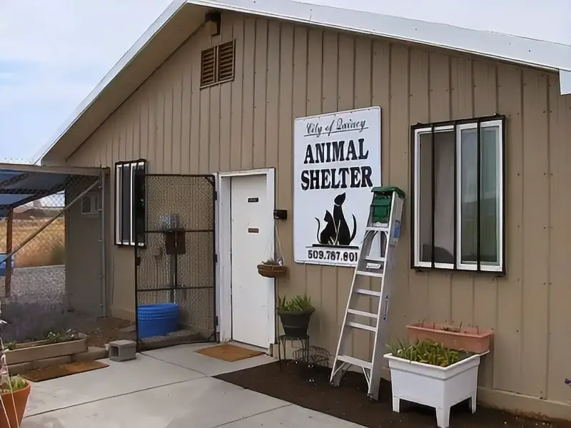 Quincy Animal Shelter