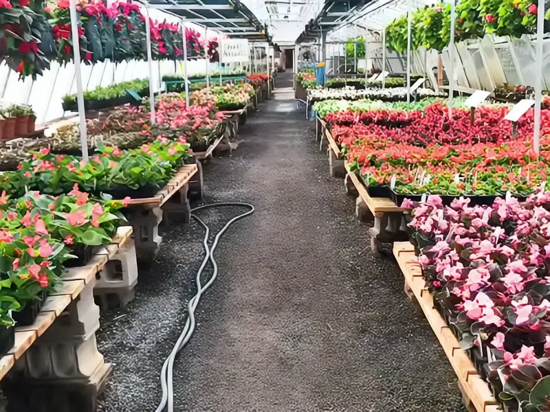 Russell's Garden Center Wayland Massachusetts