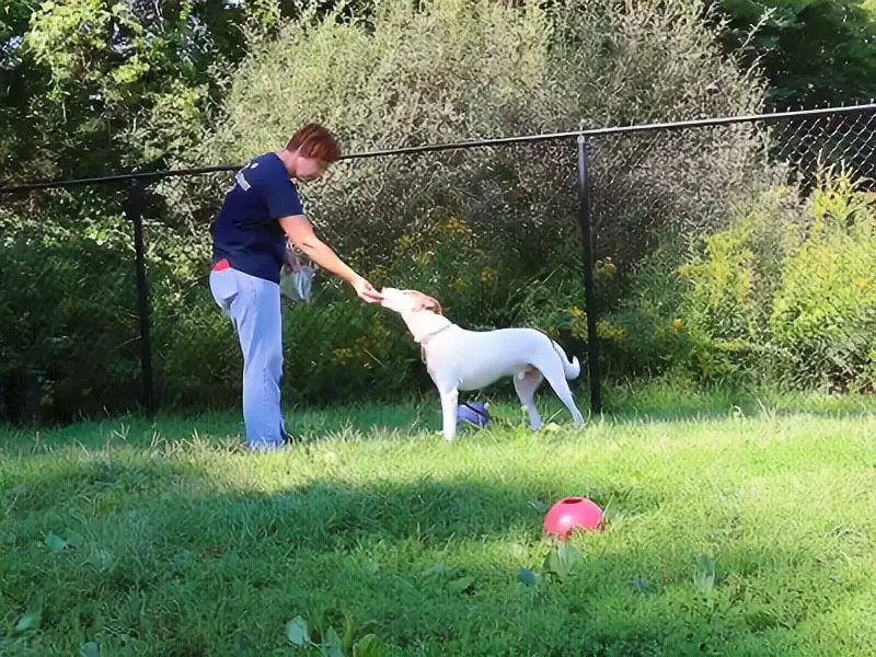Scituate Animal Shelter