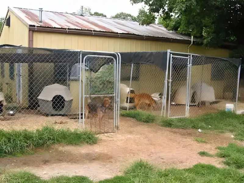 Sterling Animal Shelter