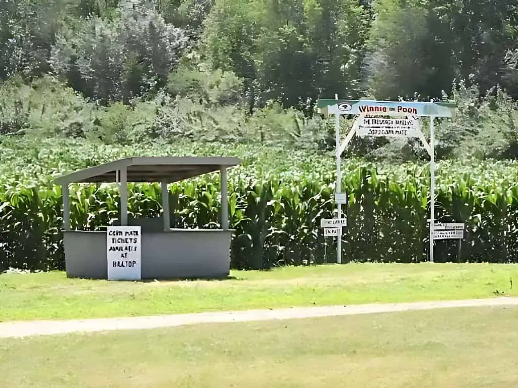 Treworgy Family Orchards Corn Maze