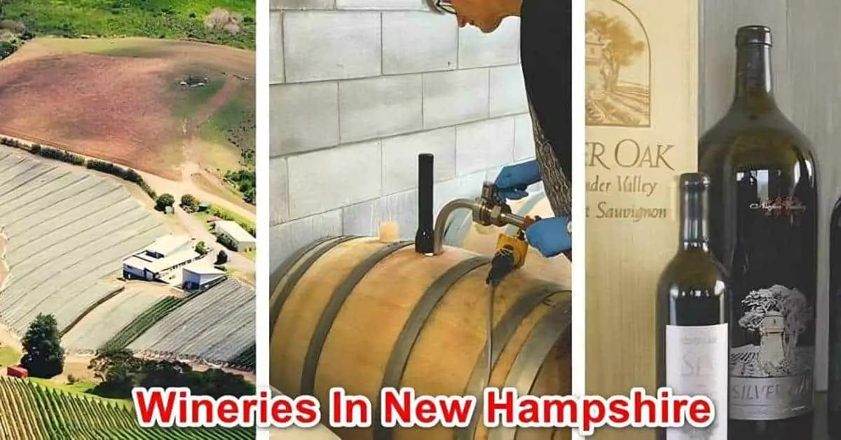 Wineries In New Hampshire