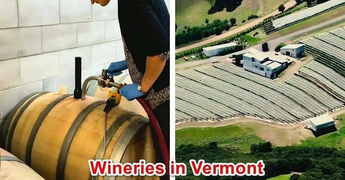 Wineries in Vermont