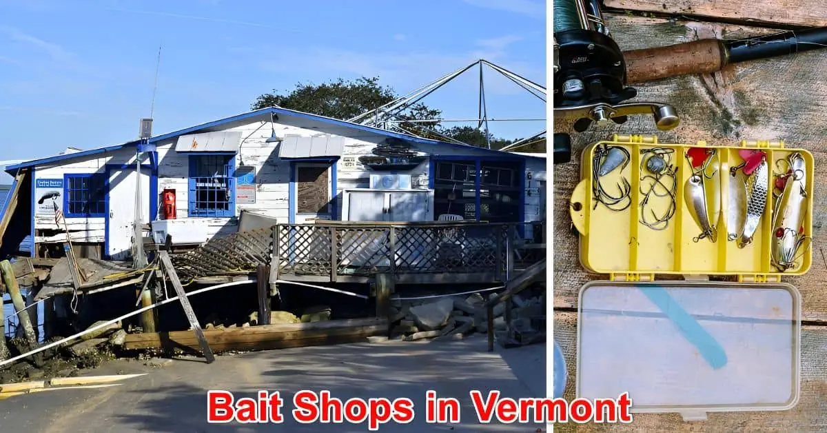 Bait Shops in Vermont