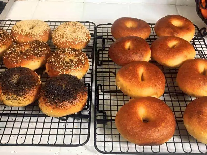 Bagels of Bagel Basket