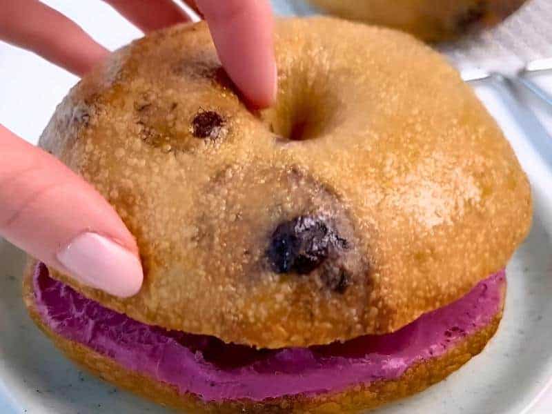 Blueberry Bagels The Maine Bagel