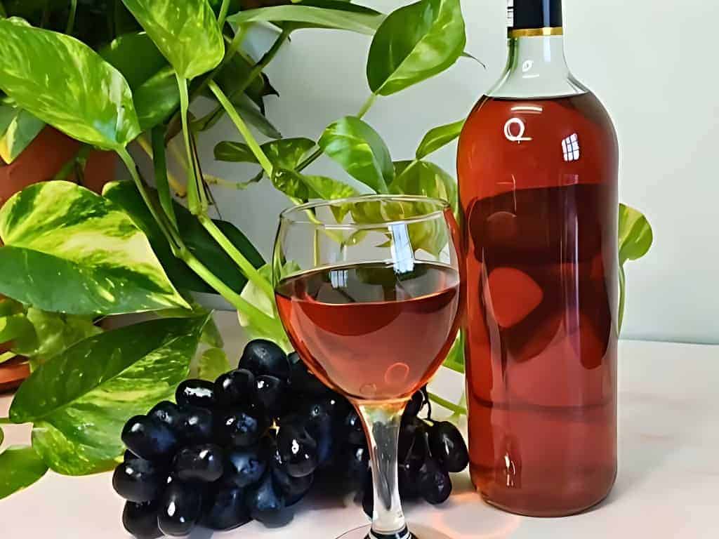 Isle La Motte Vineyard Red Wine