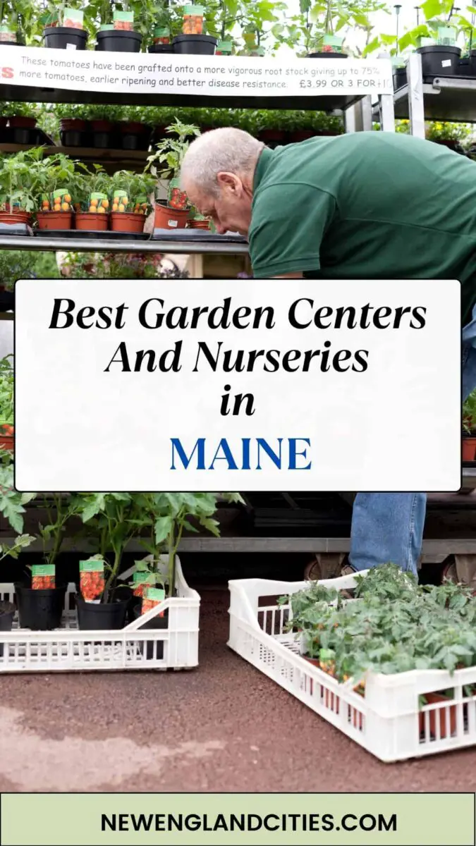Best Garden Centers And Nurseries In Maine