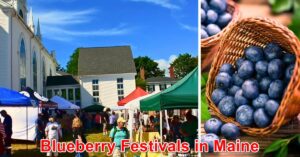Blueberry Festivals in Maine