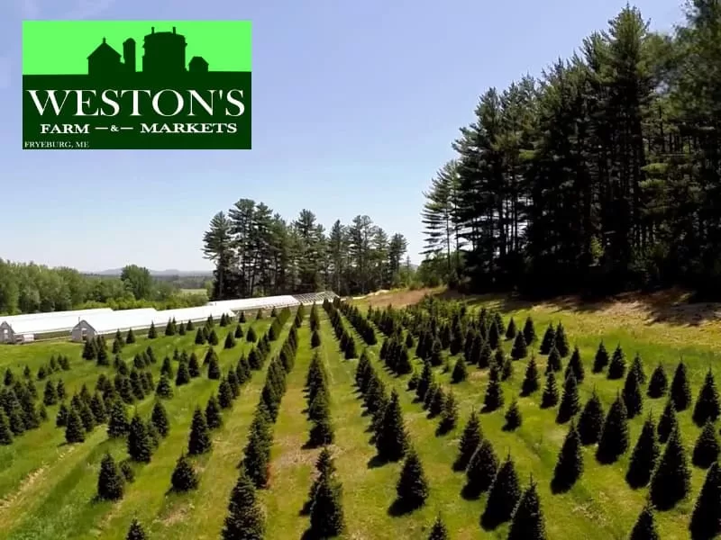 Weston’s Farm & Market – Fryeburg, ME