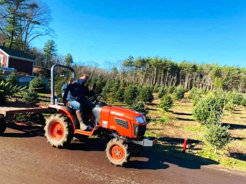 Mistletoe Acres Tree Farm - East Bridgewater, MA