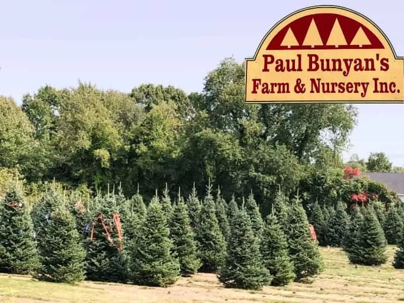 Paul Bunyan’s Farm - Chicopee, MA
