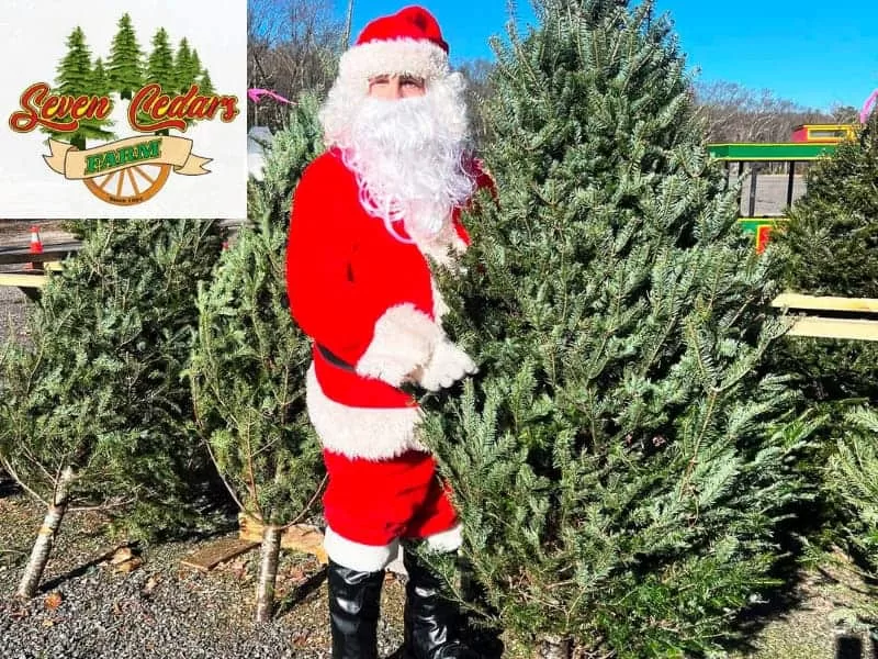 Seven Cedars Farm christmas tree farms in RI